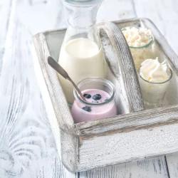 Nordic Style Yogurt